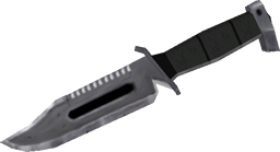 Combat knife